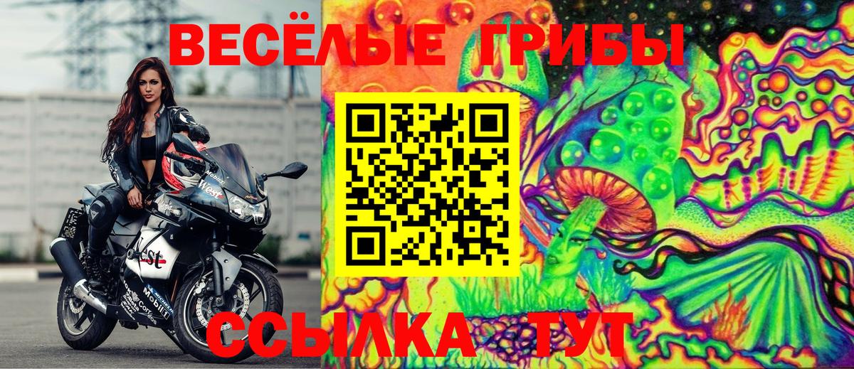 Псилоцибиновые грибы Psilocybine cubensis  Галлюциногенные грибы GOLDEN TEACHER  закладка  Азнакаево  Вход с VPN 