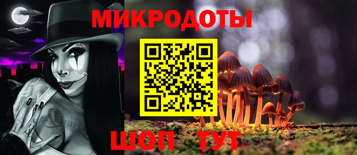 Псилоцибиновые грибы Psilocybe Азнакаево